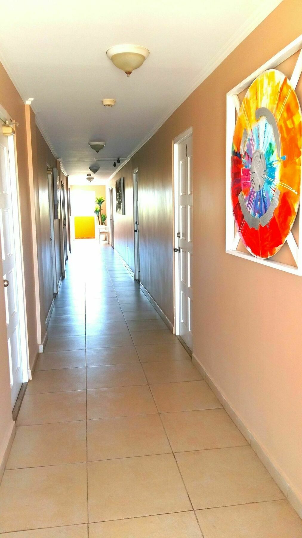 Dorado Eagle Beach Hotel オラニエスタッド エクステリア 写真