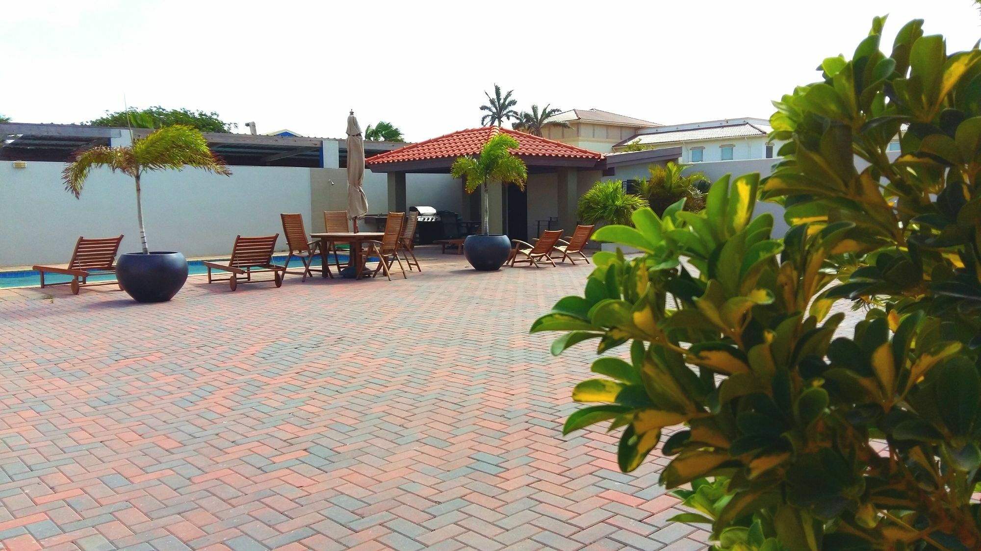 Dorado Eagle Beach Hotel オラニエスタッド エクステリア 写真